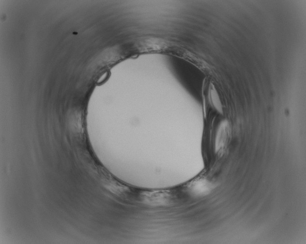 X0000077350331200611031827