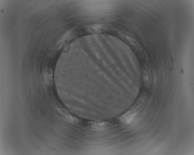 X0000077350332200611031827