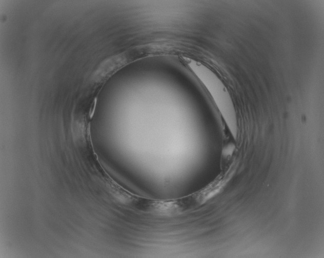 X0000077350333200611031827