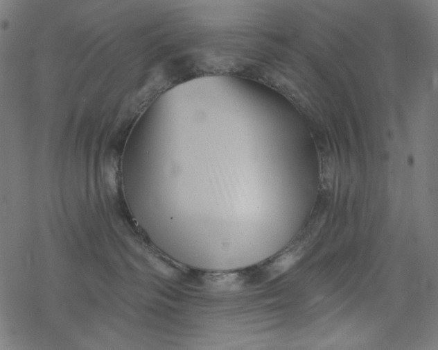 X0000077350334200611031827