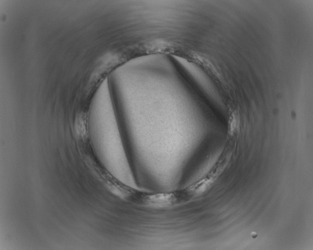 X0000077350335200611031827