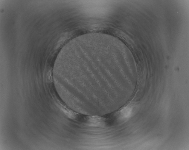 X0000077350336200611031827