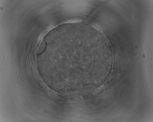 X0000077350337200611031826