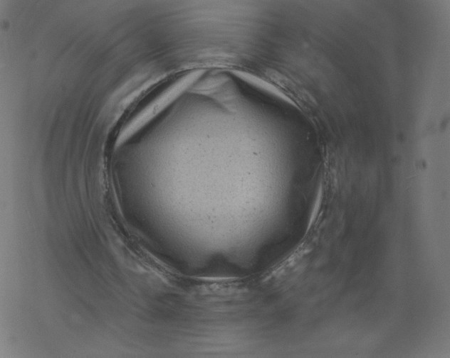 X0000077350338200611031826