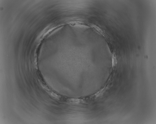 X0000077350339200611031826