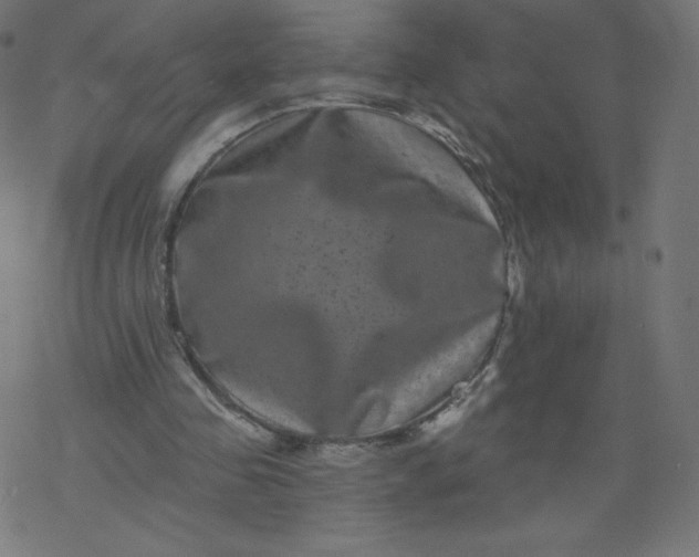 X0000077350341200611031827