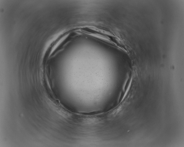 X0000077350342200611031827