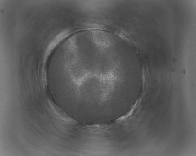 X0000077350343200611031827