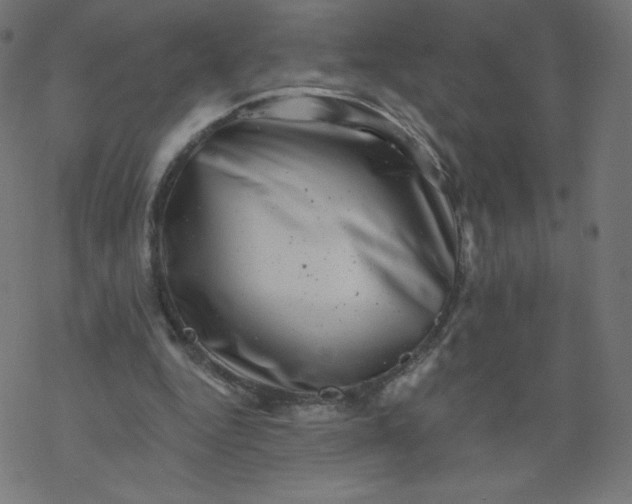 X0000077350344200611031827