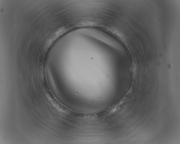 X0000077350345200611031827