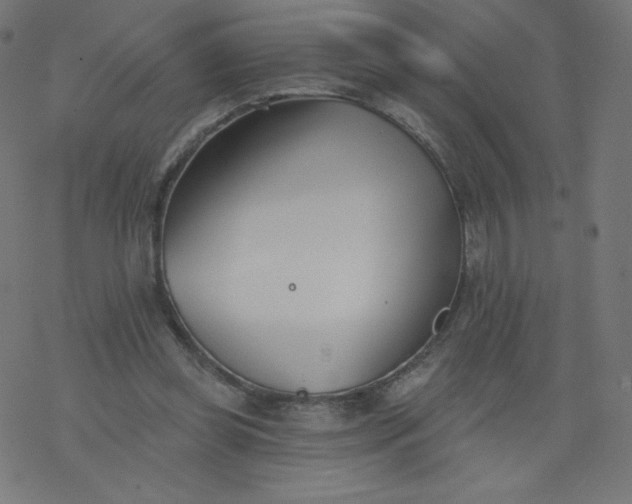 X0000077350349200611031827