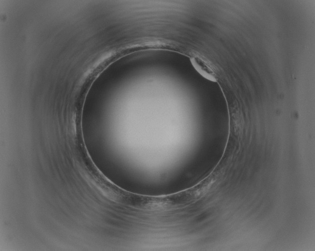 X0000077350350200611031827