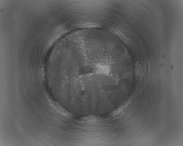 X0000077350351200611031827