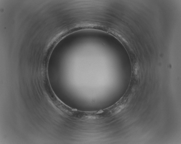 X0000077350352200611031827