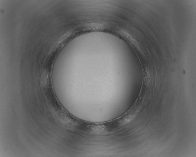 X0000077350355200611031827