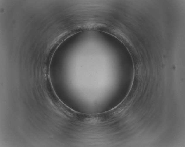 X0000077350356200611031827