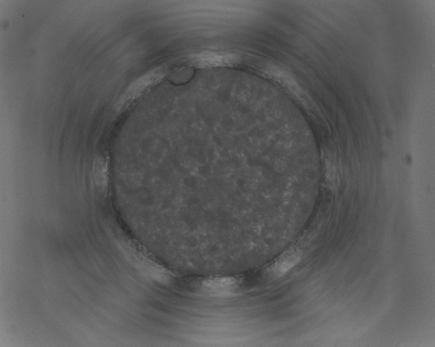 X0000077350357200611031827