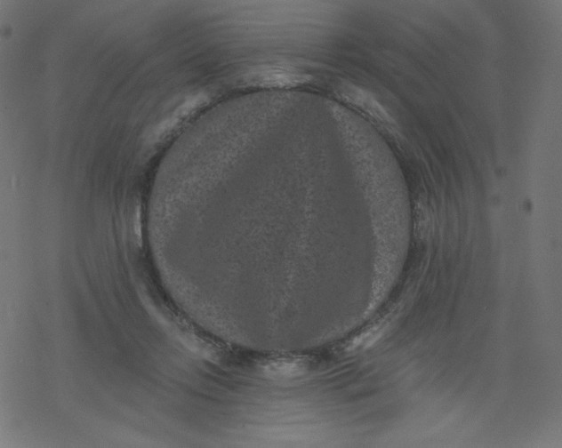 X0000077350358200611031827