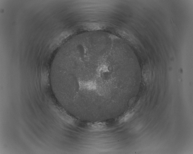 X0000077350359200611031827