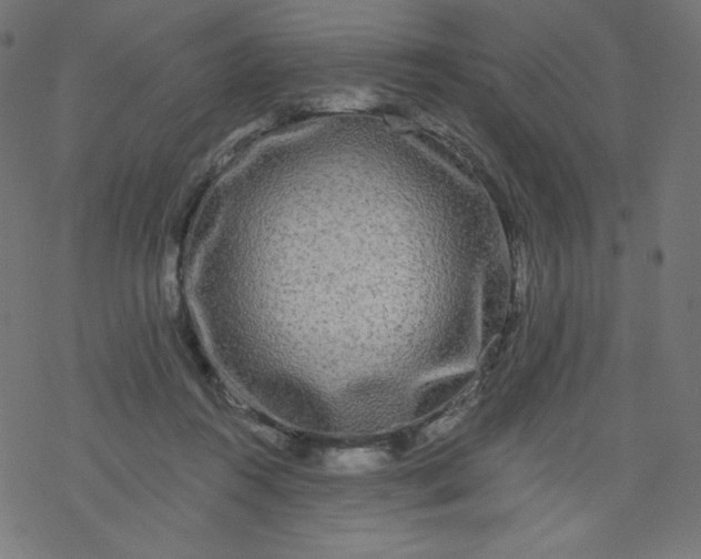 X0000077350360200611031827