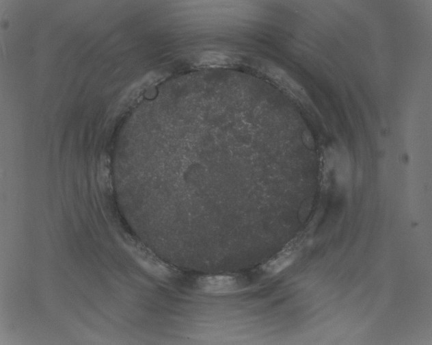 X0000077350361200611031827