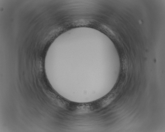 X0000077350362200611031827