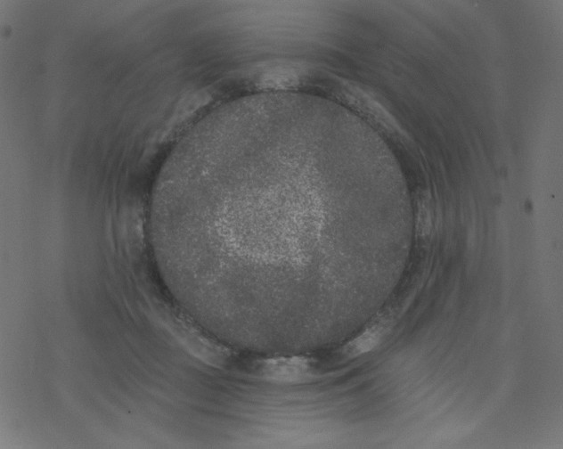 X0000077350363200611031827