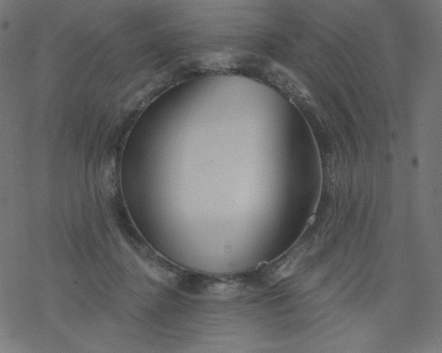 X0000077350364200611031827