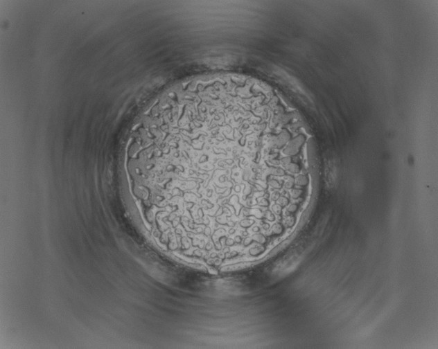 X0000077350365200611031827