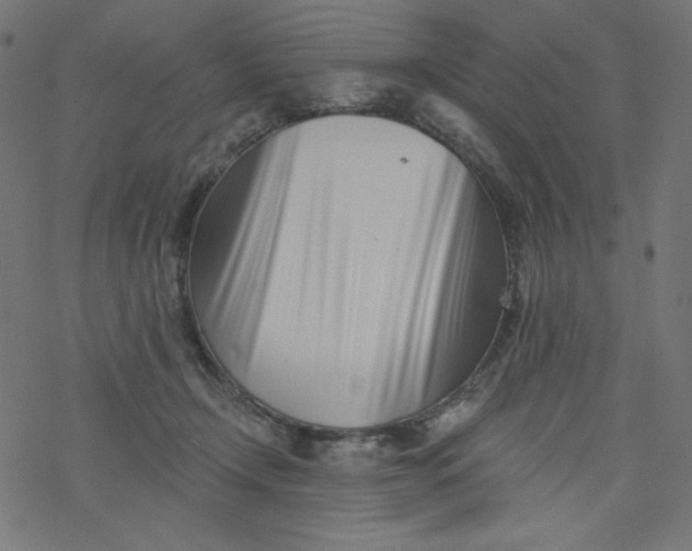 X0000077350366200611031827