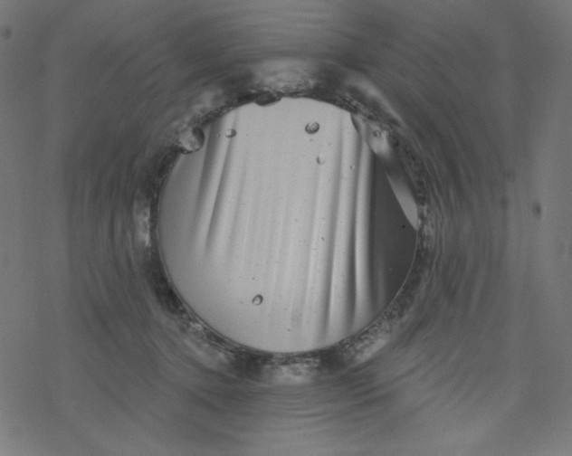 X0000077350368200611031827