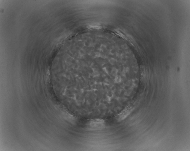 X0000077350369200611031827