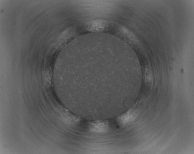 X0000077350370200611031827