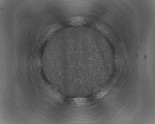 X0000077350371200611031827