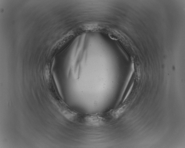 X0000077350372200611031827