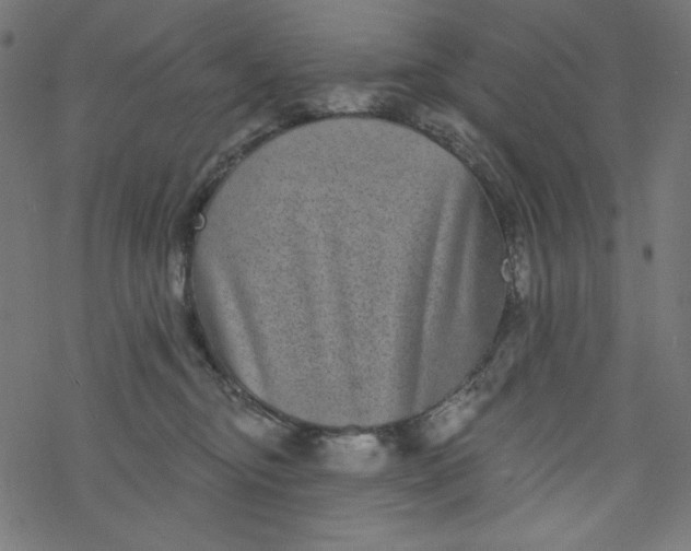 X0000077350374200611031827