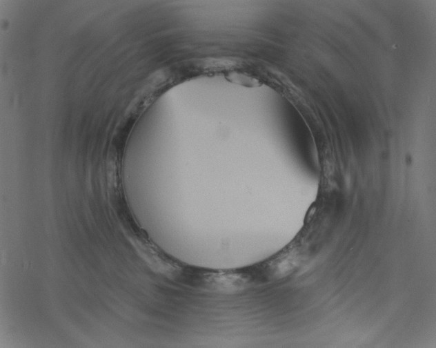 X0000077350379200611031827