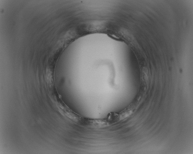 X0000077350380200611031827