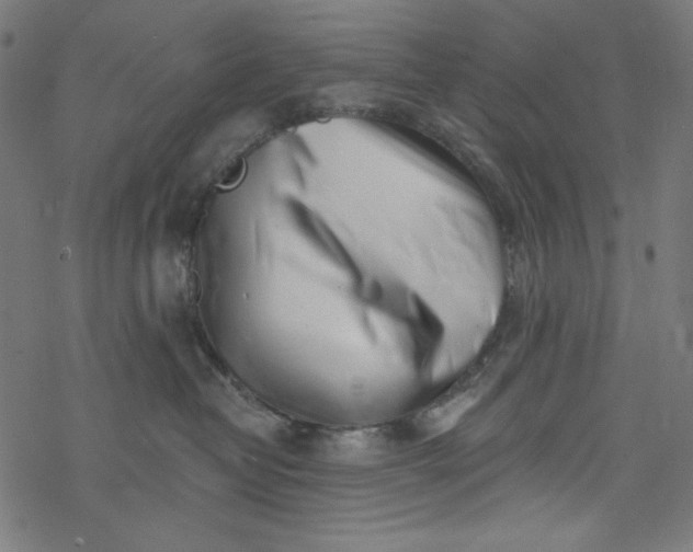 X0000077350382200611031827