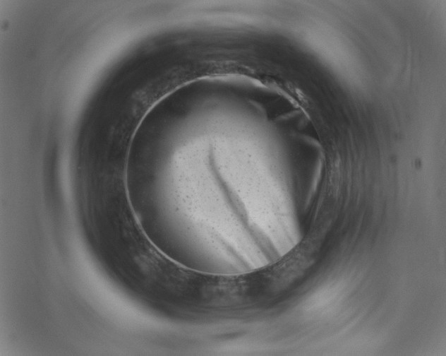 X0000077350383200611031827