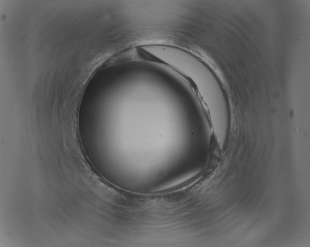 X0000077350385200611031826