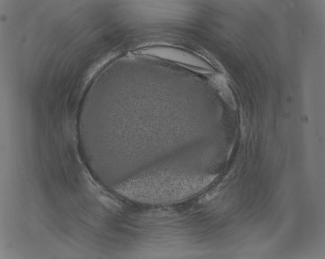 X0000077350386200611031826