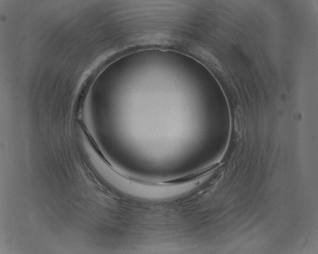 X0000077350388200611031826