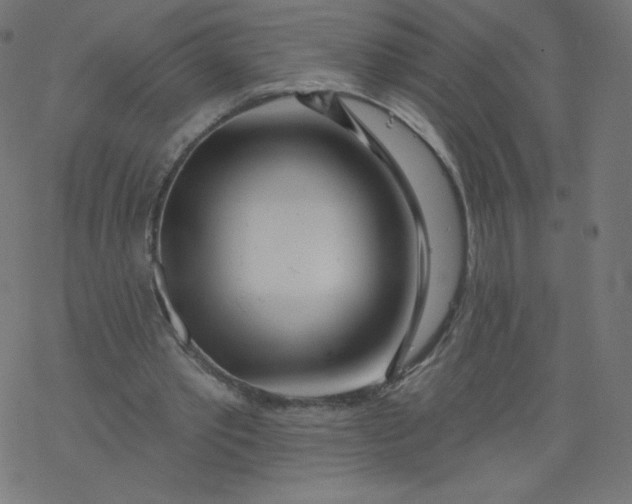 X0000077350389200611031826