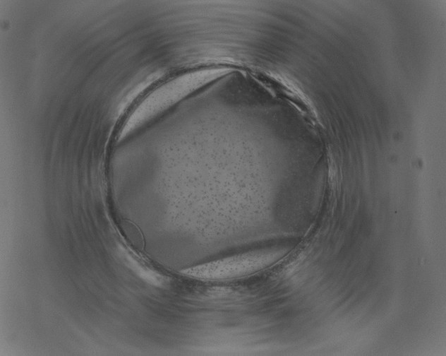 X0000077350390200611031826