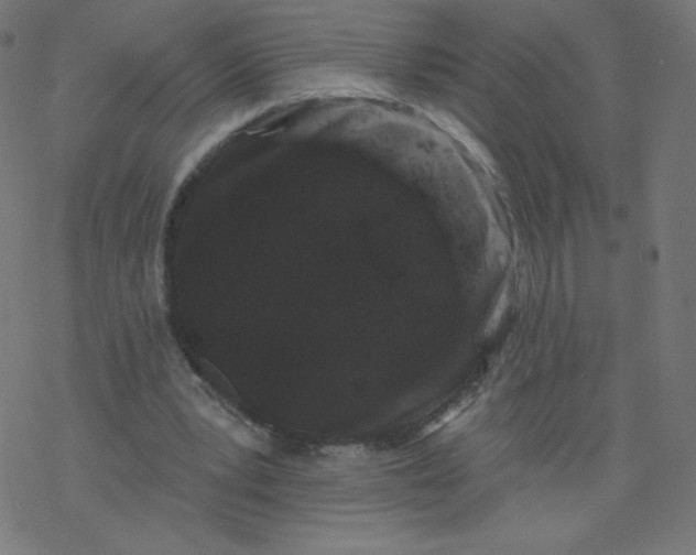 X0000077350391200611031826