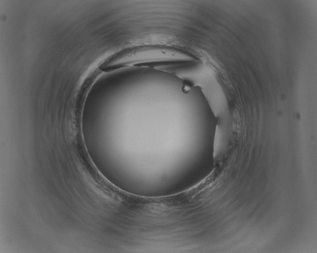 X0000077350392200611031826