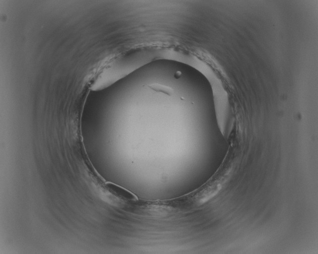 X0000077350393200611031826