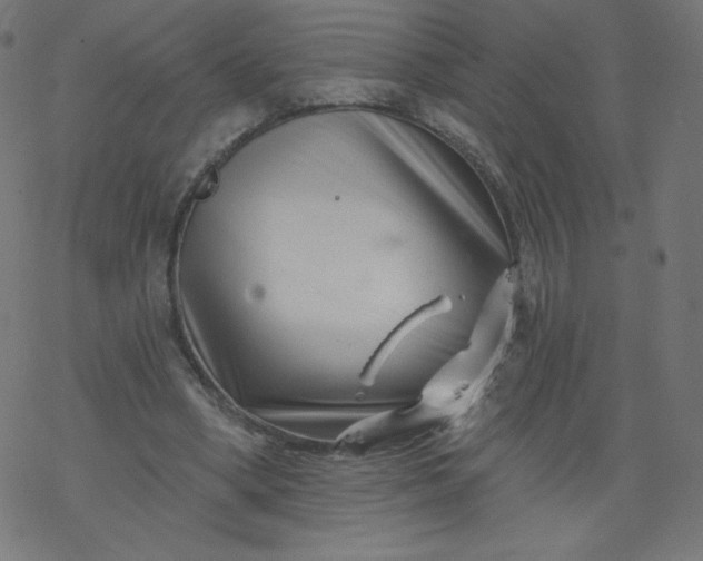 X0000077350394200611031826