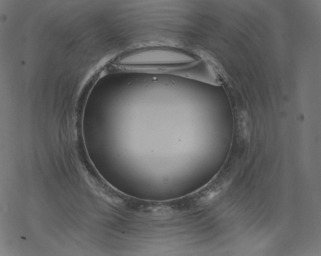 X0000077350395200611031826